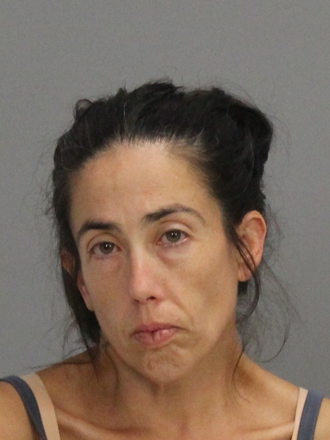 Dodson, Crystal Diane arrested by Brazos County SO/PD