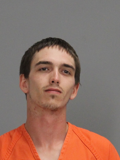 TRIBBLE, DILLON ALLEN booking photo