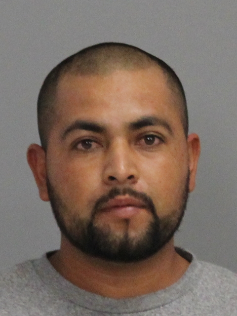 Saenz-Capetillo, Guadalupe booking photo