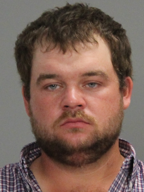 REITZ, NEILON PAUL arrested by Brazos County SO/PD