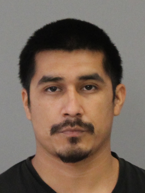 LOY, MICHAEL LEE booking photo