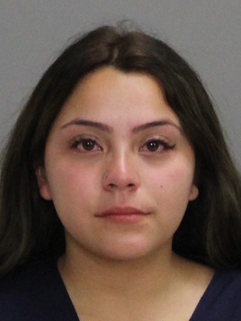 PEREZ, BRIANNA NICOLE arrested by Brazos County SO/PD