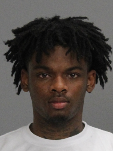 JOHNSON, LEONARD EARL booking photo