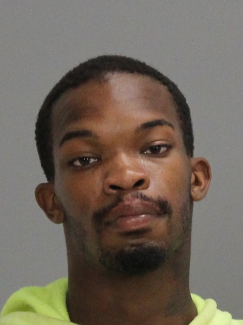 ALEXANDER, LEE OTIS booking photo