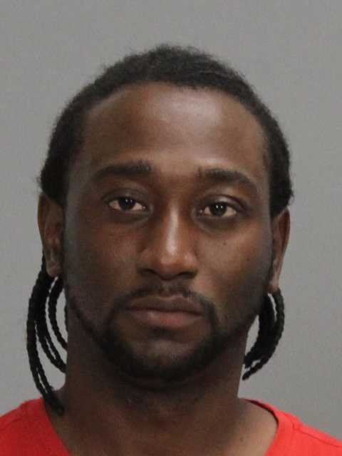 NELSON, CHRISTIAN MICHAEL booking photo