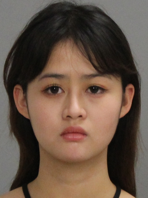 XU, HUILAN booking photo
