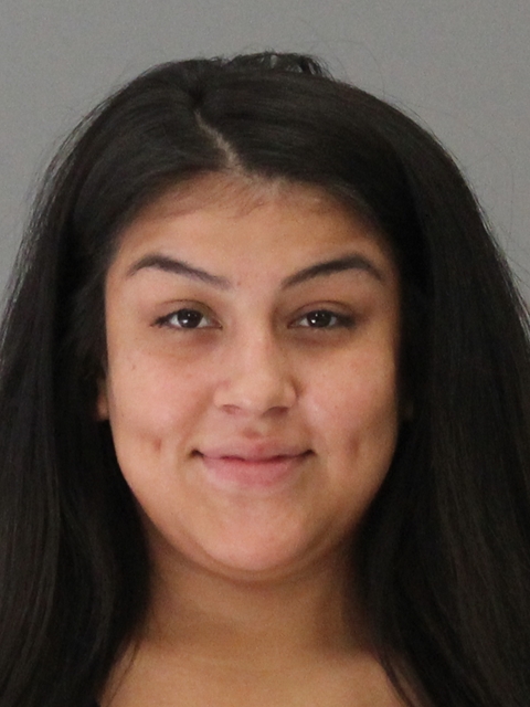CHAVEZ, SARAH ANN booking photo