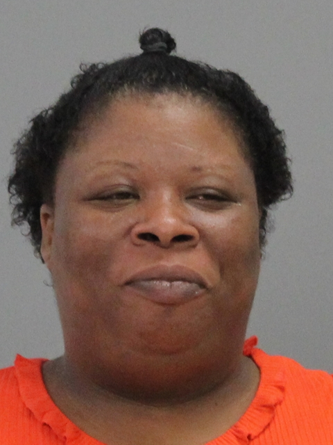 HICKS, PAMELA LOCKETT booking photo