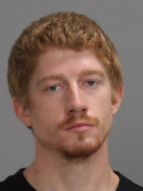 Henry, Brandon Michael booking photo