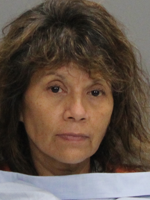 LOPEZ, MARY ESTHER booking photo
