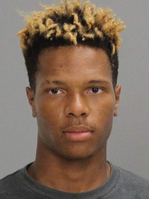 JOHNSON, JAKAVIAN DEVON booking photo