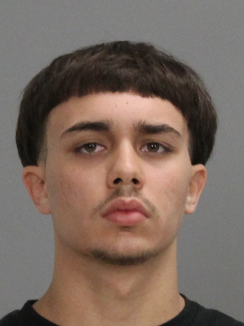 SEAGROVES, ELBRIDGE CHASE booking photo