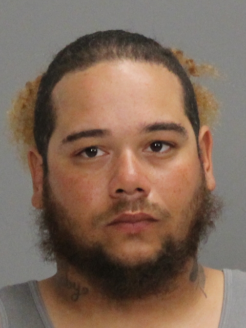 RITTENHOUSE, SHAWN MICHAEL booking photo