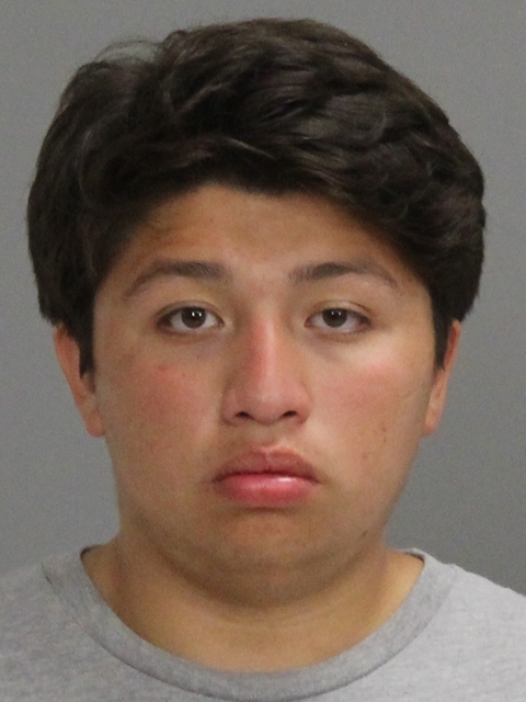 Gonzalez, David Isaiah booking photo
