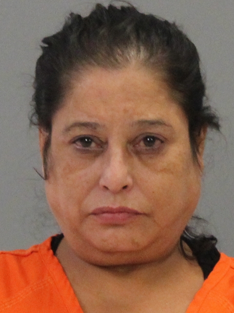 ALVARADO, MARIA DE LOURDES booking photo
