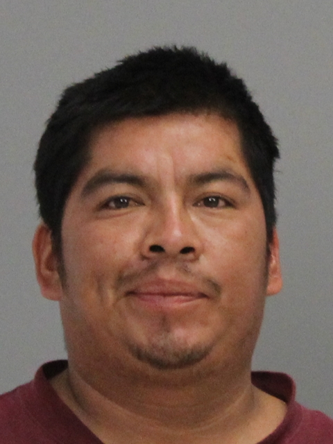 Martinez De La Rosa, Magdeleno booking photo