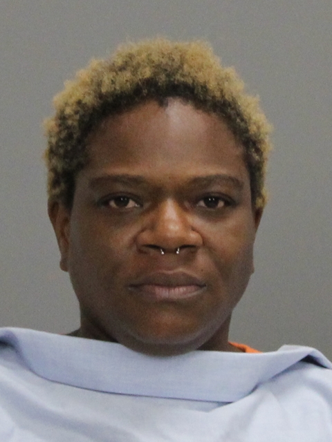 MCGOWAN, COURTNEY RENE booking photo