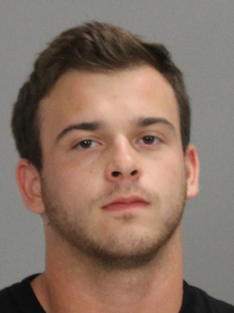 Werner, Nicholas Bryce booking photo