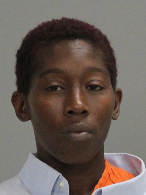 JACKSON, MARCETIA SANAE booking photo