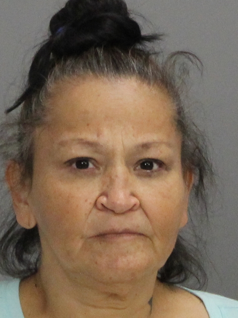 Rivera, Teresa Ann booking photo