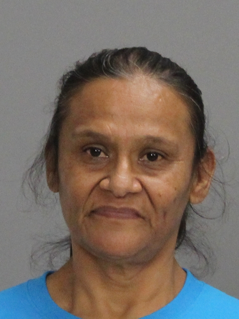 DIAZ, FRANCES ARENAS booking photo