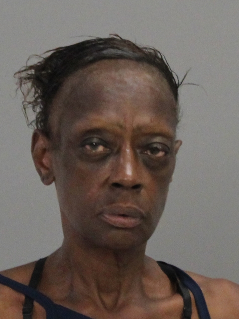 HILL, HANNAH ANNETTE booking photo