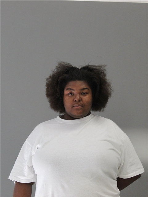 Dickson, India Aranisa booking photo