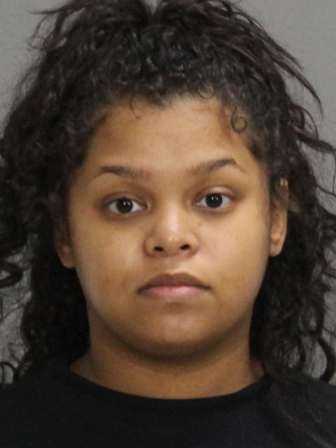 MITCHELL, DANIELLE DELAINE HOPE booking photo