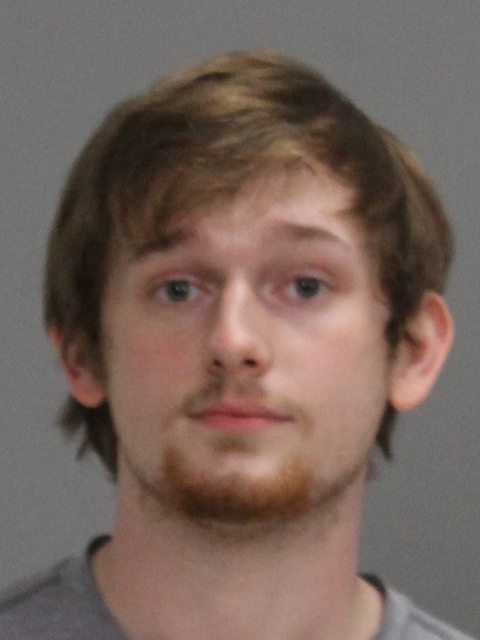 HAMILTON, BENJAMIN DAVID booking photo