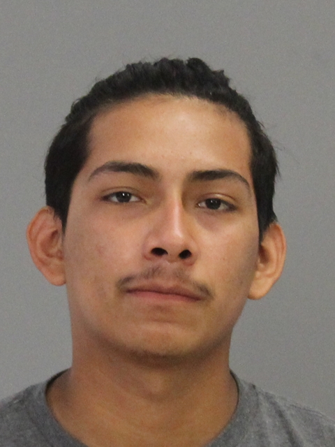 GONZALEZ, TOMAS booking photo