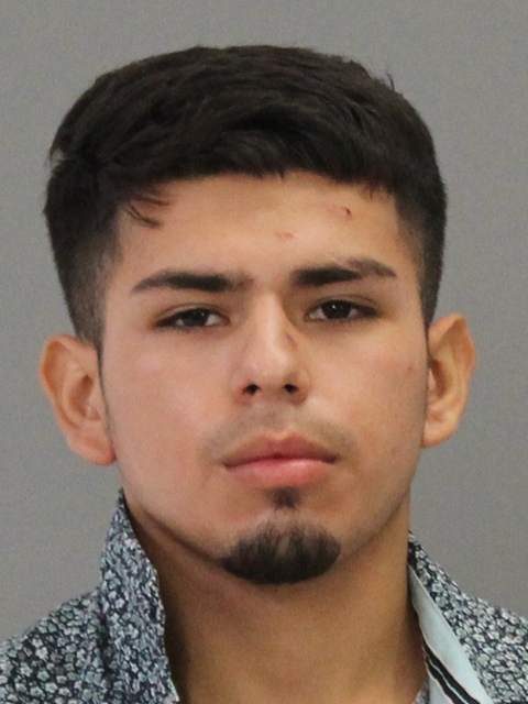 MARTINEZ, JULIAN EDUARDO booking photo