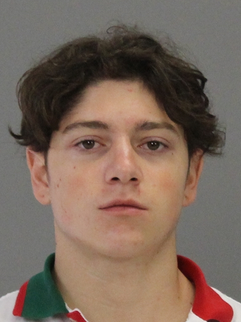 Consoli, David Joseph booking photo