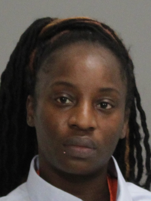 RIBIGBE, TONI FEMI booking photo