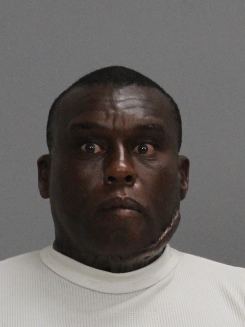 NELSON, DWAYNE RODDELL booking photo