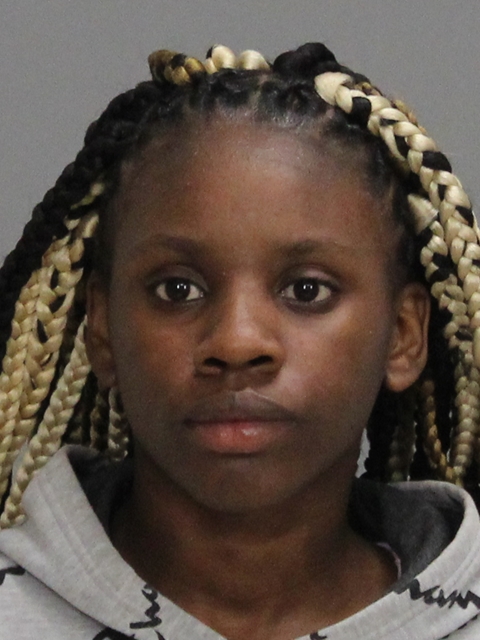 JOHNSON, AUMAYA DENISE booking photo