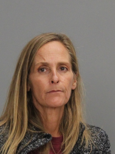 JOHNSON, AMANDA LEAH booking photo