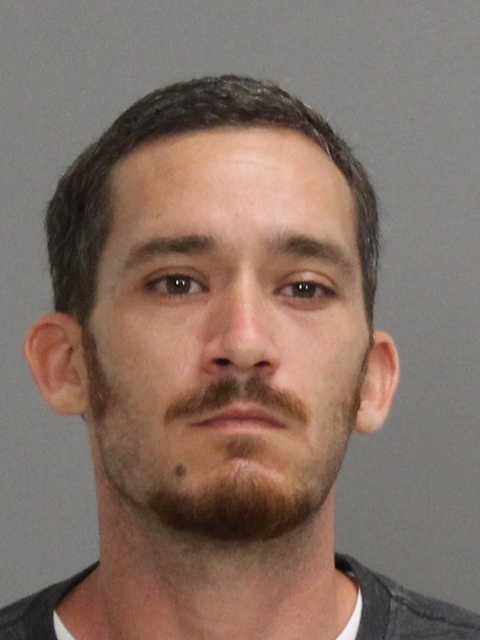 SPILDE, LEE REINERT booking photo