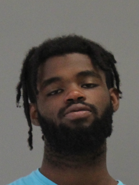 HAMILTON, LATEARRENCE DESHAUN booking photo