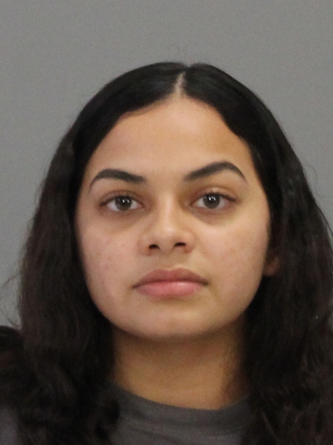 HERNANDEZ, MARISSA DEANN booking photo