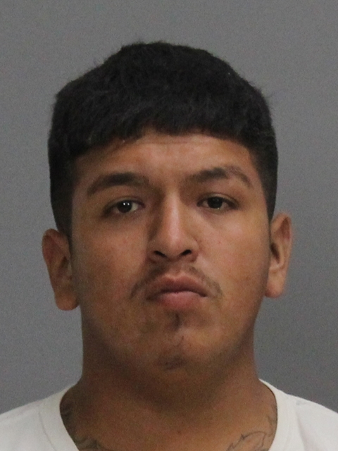 SANCHEZ, SEBASTIAN ALEJANDRO booking photo