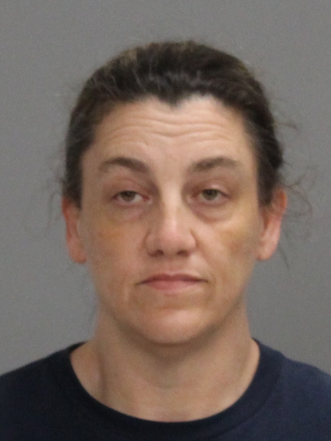 HEBB, PAULA CHRISTINE booking photo