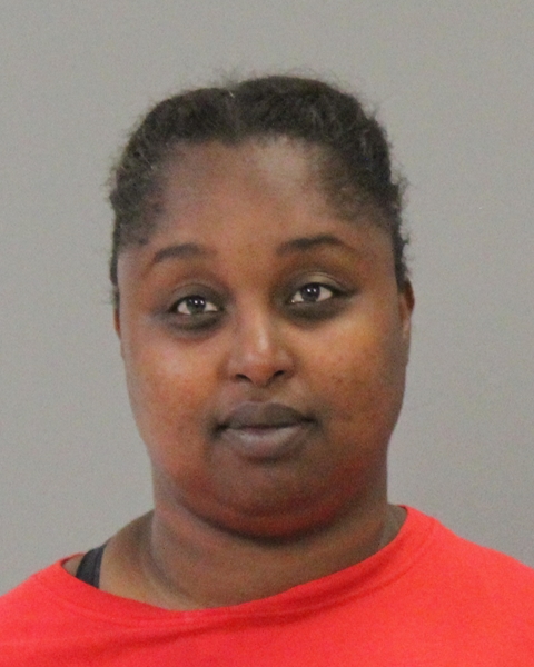 HAWKINS, SANDRA ELAINE booking photo