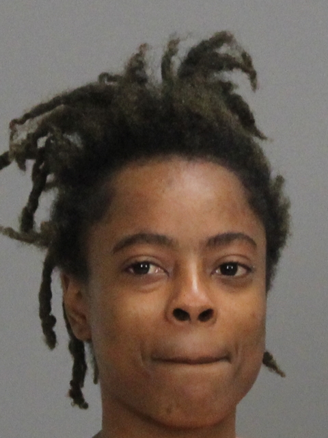 TURNER, CHIARA MESHAY booking photo
