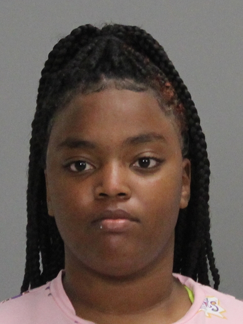 WOMACK, TOSHA EVETTE booking photo