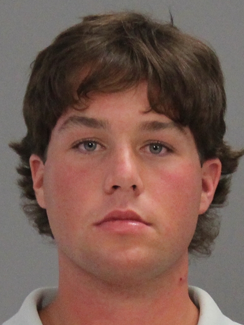 WEBB, BRENTON DEAN booking photo