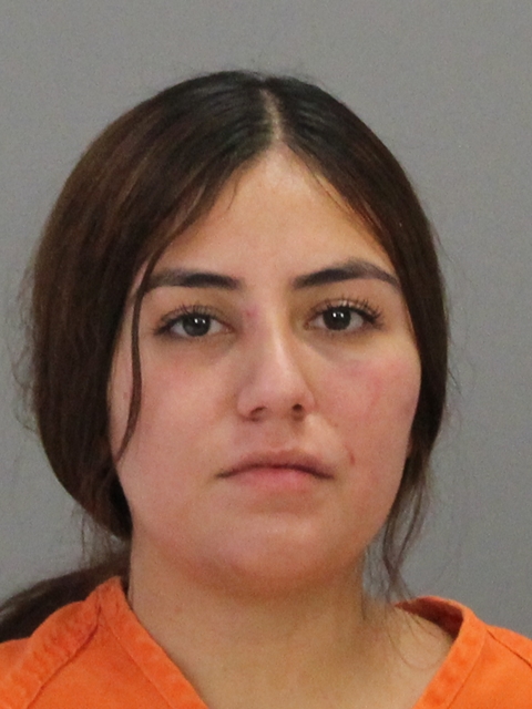 Vega, Brianna Nichole booking photo