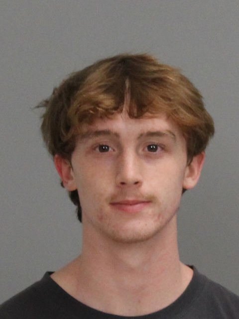LAYNE, DAWSON WESLEY booking photo
