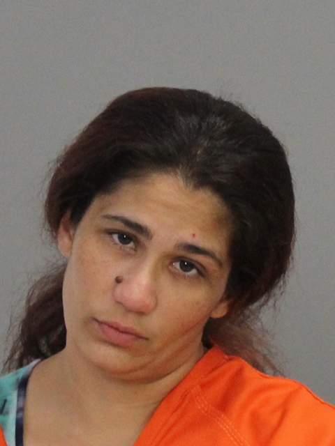 HERNANDEZ, ERIKA CARMEL booking photo
