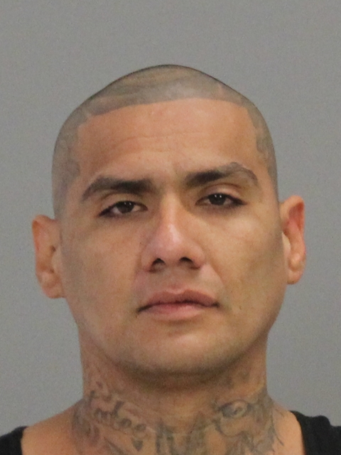 DELEON, JOEL booking photo
