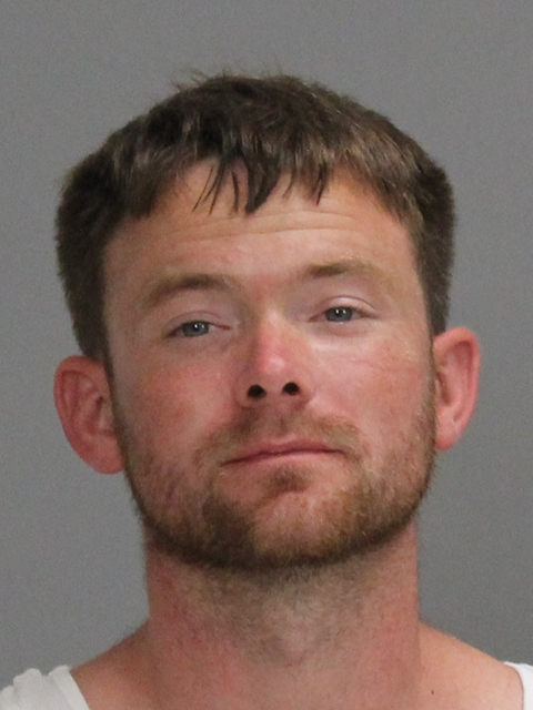 TROUT, JEFF DAVIS, Jr booking photo